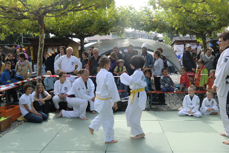 image11