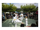 thumbnail1