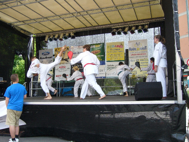 image29