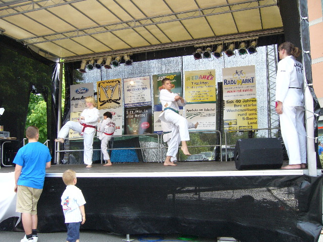 image44