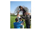 thumbnail16