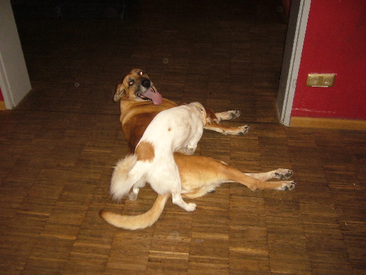 image12