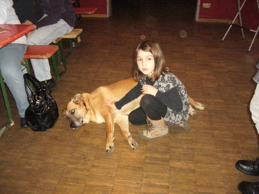 image17