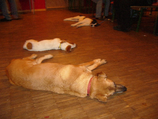 image45