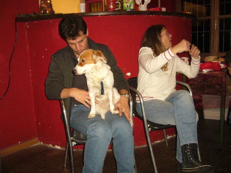 image44